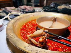 -新哥老官·畅吃123·美蛙世界(苏宁广场店)