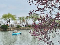 -无锡蠡湖国家湿地公园-蠡园