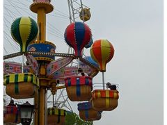 -上海野生动物园