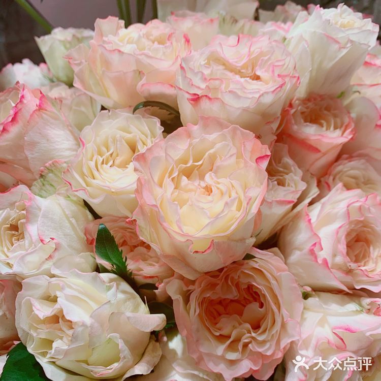 野兽派不止卖花｜国产潮流居家品牌
