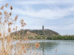 -焦山景区-万佛塔