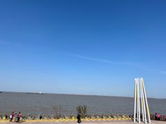 -上海滨江森林公园