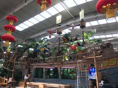 -南宫五洲植物乐园