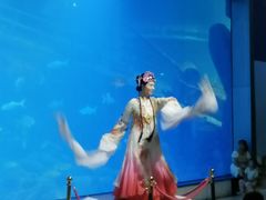 -福州罗源湾海洋世界旅游区