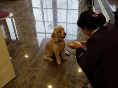 -宠爱国际动物医院·消化内科·心肾内科·ISFM猫友好(望京店)