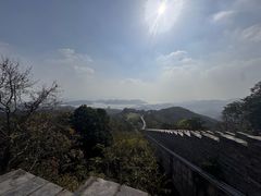 -黄贤森林公园