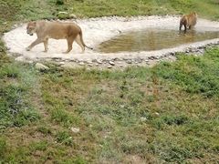 -西安秦岭野生动物园