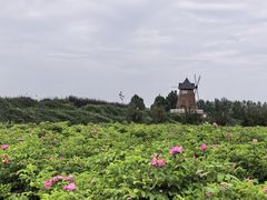 -君乐宝优致牧场