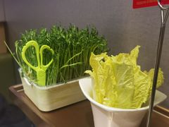 现剪现吃豌豆苗-海底捞火锅(高科东路店)