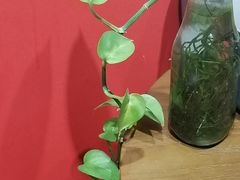 -学习谷日语培训日本留学·多语种外语教学(海淀人大分部)