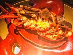 -地球美食剧场