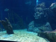 -暹罗海洋世界
