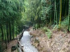 -藏龙百瀑风景区