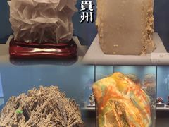 -贵州省地质博物馆