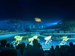 -鼎盛王朝康熙大典实景演出