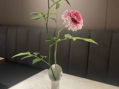 -新梅华餐厅(星悦汇店)