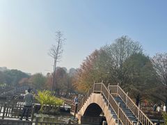 -五缘湾湿地公园