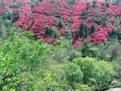 -木兰云雾山
