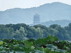 -西湖游船