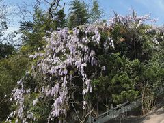 -三国赤壁古战场