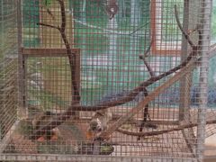 -西霞口神雕山野生动物世界