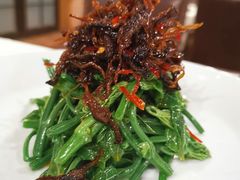 昭通椒丝油鸡枞麦瓜尖-泓0871臻选云南菜·味庄