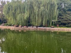 -团结湖公园