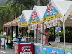 -东南花都花博园