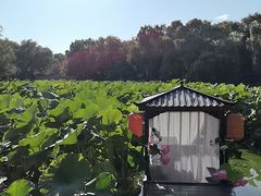 -北陵公园