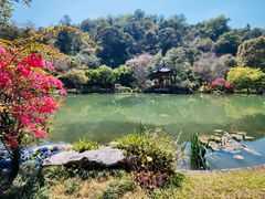 -云溪植物园