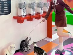 -福田卓悦INTOWN购物中心