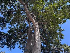 -巍山古城-拱辰楼