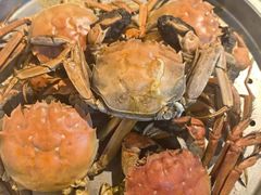 -争先鲜·蒸汽海鲜自助·鲜切牛肉