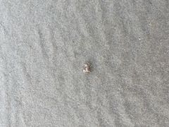 -侨港海滩