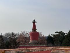 -普陀宗乘之庙(小布达拉宫)