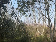 -上海吴淞炮台湾国家湿地公园