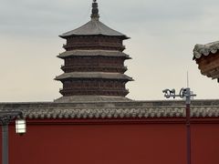 -蔡家酒楼(一德街店)