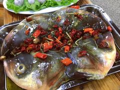 鱼头-肥婆麻辣火锅.顺德首创药材麻辣火锅(容桂店)