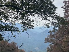 -广州市石门国家森林公园