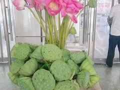 -中福百货(望京店)