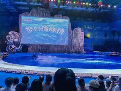 -华夏文旅海洋公园