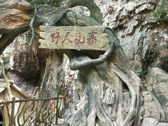 -永泰中国云顶