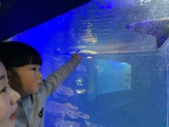-嘉兴海底世界