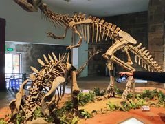 -自贡恐龙博物馆
