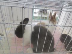 -鹏欣水游城