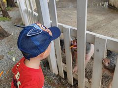 -前小桔亲子创意农场·草莓采摘·露营烧烤