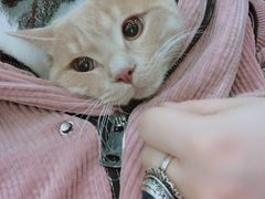 -瑞鹏宠物医院·爱宠堂(环西分院)