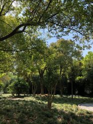 -上海交通大学医学院附属上海儿童医学中心(陆家嘴总院区)