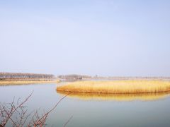 -野鸭湖国家湿地公园