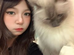 -安格丽娜·狗咖·猫咖羊驼咖(春熙路百盛商场店)